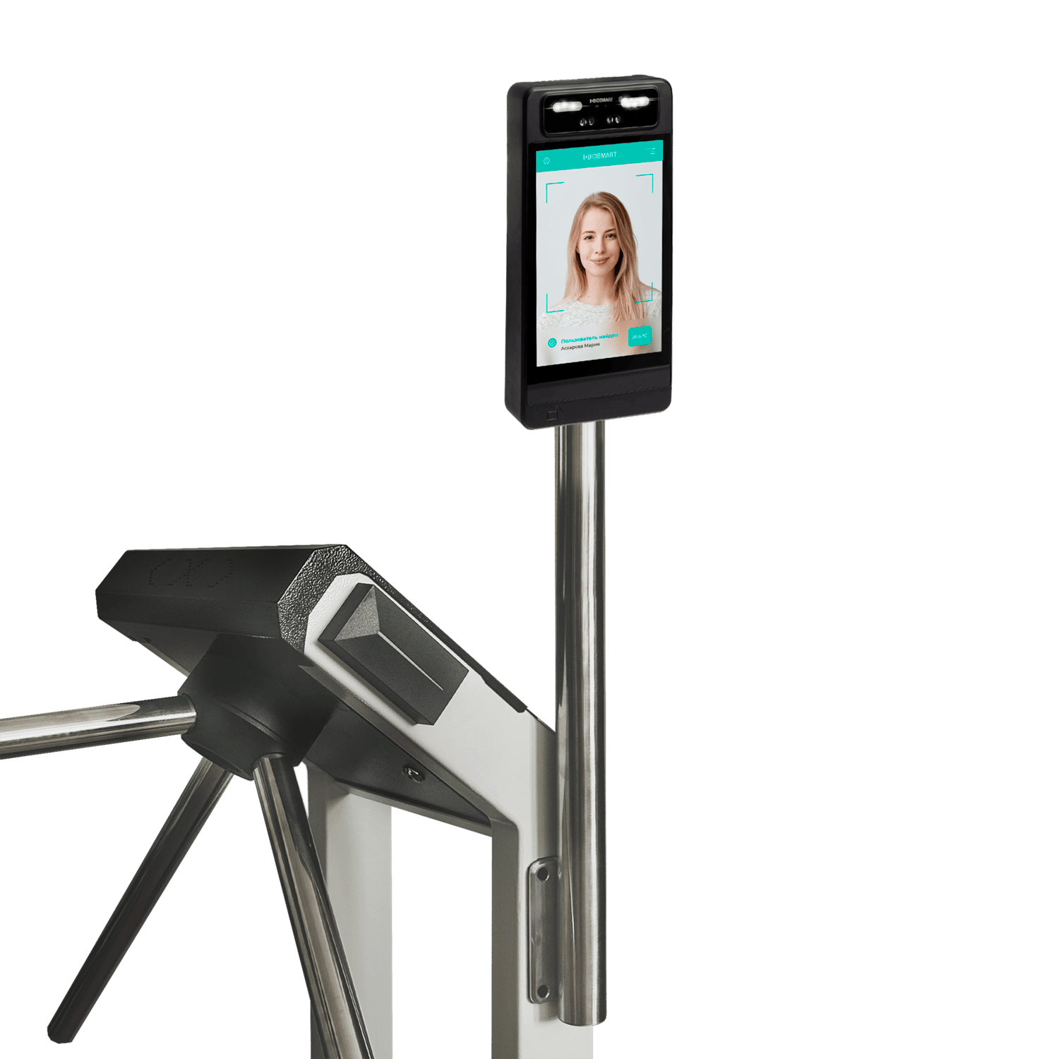 кронштейн на турникете с биом