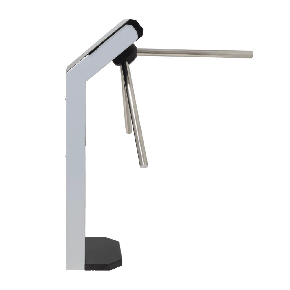 3V-model-V-вид-сбоку