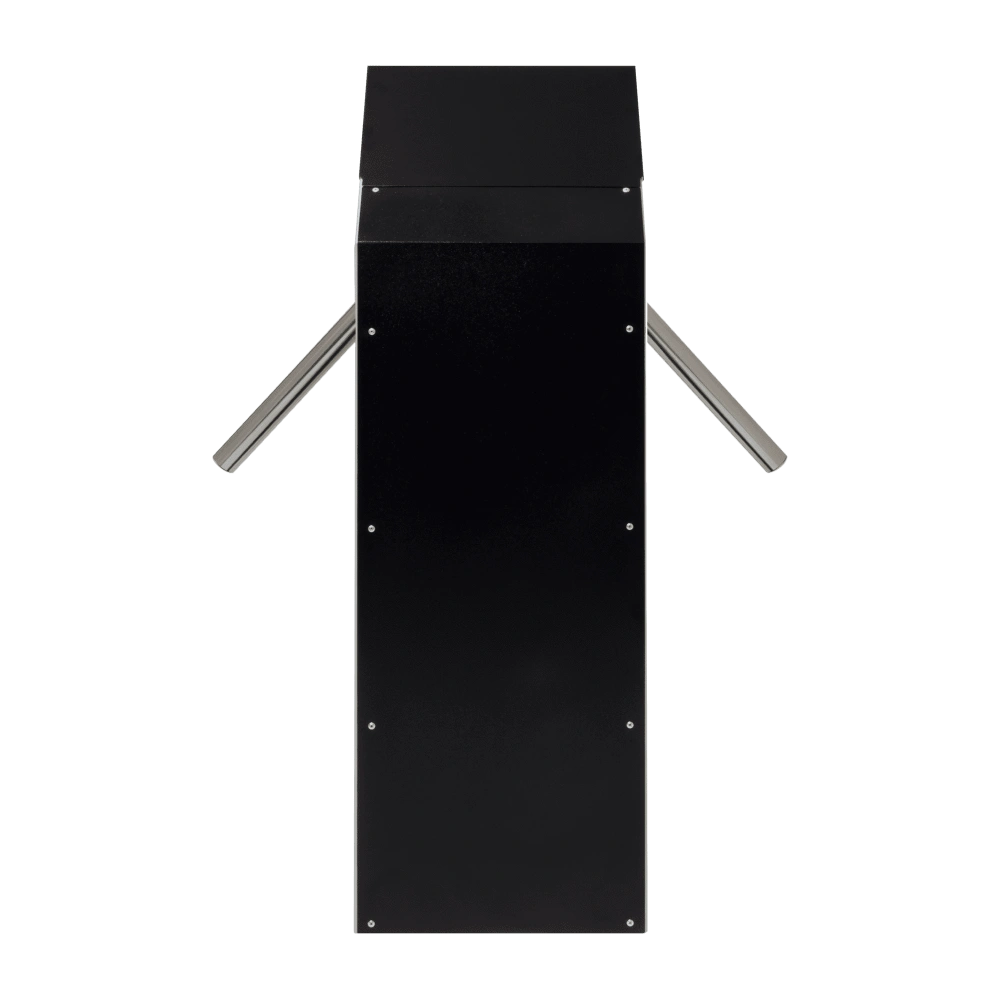 3V-model-V-вид-сзади